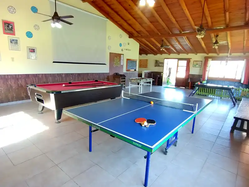 Mesa de ping-pong